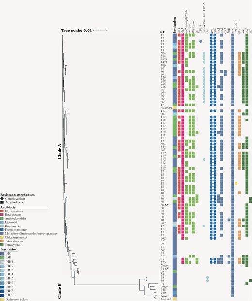 Phylogenetic and resistome analyses of Enterococcus faecium from the Vancomycin-Resistant Enterococcal BSI Outcomes Study (VENOUS I). Enterococcus faecium core gene-aligned, midpoint-rooted, maximum likelihood phylogenetic tree with associated antibiotic resistance mechanisms (n = 86) and cladal reference isolates. The presence of a resistance mechanism is denoted by a colored circle (genetic variant) or square (acquired resistance gene), with colors representing the class or type of antibiotic resistance conferred. Gene abbreviations and descriptions can be found in Supplementary Table 2. Abbreviations: DH, Detroit hospital; HC, Houston cancer center; HH, Houston hospitals 1–9; ST, sequence type; ST-SV, single allelic variant of the respective sequence type.
