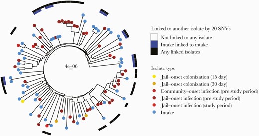 Phylogeny of female USA300 MRSA colonization and clinical isolates. Tips are labeled by isolate type. Surrounding heatmap indicates if the female isolate is linked to another female isolate within 20 SNVs; blue indicates a female intake isolate linked to another female intake isolate, and black indicates any female isolate linked to any other female isolate. Tree includes female infections occurring from 2011 to 2018. Scale bar indicates substitutions per site. Abbreviations: MRSA, methicillin-resistant Staphylococcus aureus; SNV, single nucleotide variant.