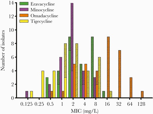 Minimum inhibitory concentration (MIC) values for eravacycline, omadacycline, minocycline, and tigecycline.