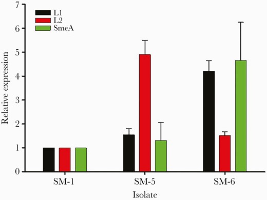 Expression levels of SmeA and L1. Bars represent mean ± SD values from 3 independent experiments in triplicate.