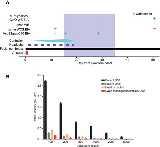 Case timeline and serum antibody testing. A, Clinical course of a 73-year-old man with Borrelia miyamotoi encephalitis. The timeline below begins with the onset of symptoms, through hospital admission, antibiotic treatment, and recovery. Facial numbness was the only symptom that persisted at the 6-month follow-up visit (not shown). Test results for Borrelia burgdorferi EIAs and WB are shown. The antigen used in the B. burgdorferi EIA was B. burgdorferi WCS. B, EIA testing for antibodies against recombinant GlpQ in serum from the patient at day 50 (black bars) and day 90 (gray bars) after symptom onset is compared with an age-matched healthy control (orange bars) and an age-matched patient control who had recent B. burgdorferi meningoencephalitis. Abbreviations: EIA, enzyme-linked immunoassay; WB, Western blot; WCS, whole-cell sonicate.