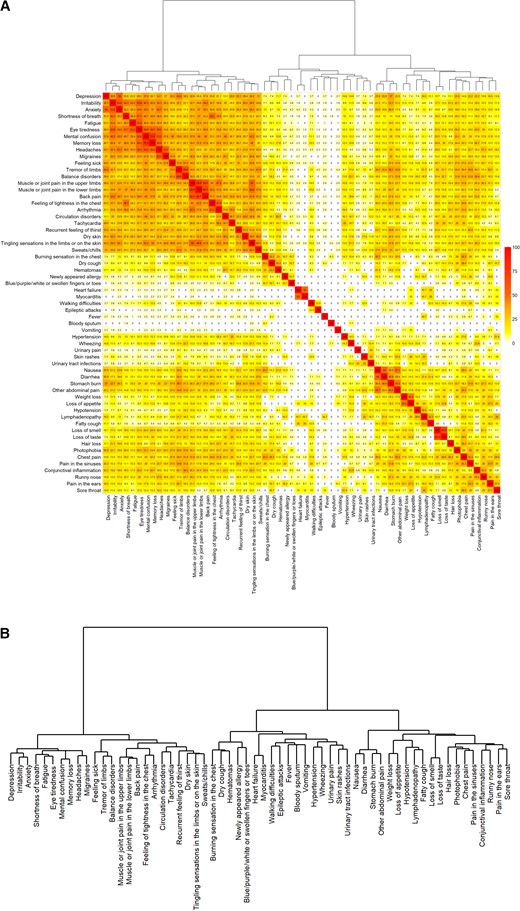 Co-occurrence heatmap of the 60 most frequent symptoms present 12 months after acute infection. A, Co-occurrences are presented as percentage per line (eg, line “Depression,” we show the percentage of participants reporting depression and having the second symptom). B, Dendrogram indicates the order in which the symptoms were clustered. The smaller height reflects the earlier joining and the higher similarity between the clusters/symptoms.