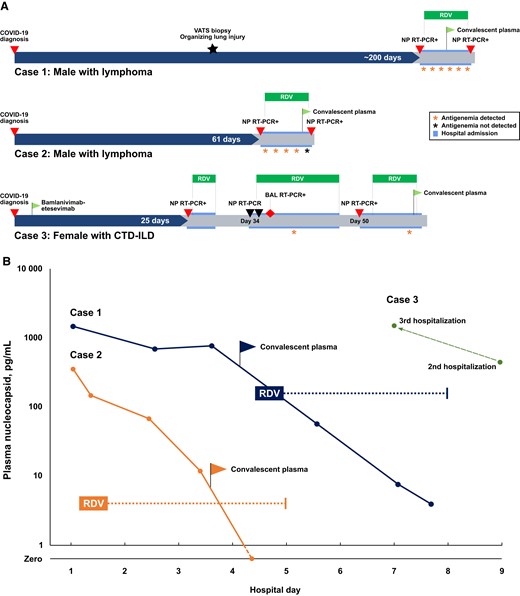 A, Approximate timelines for 3 patients with impaired humoral immunity, clinical evidence of protracted SARS-CoV-2 infection, and nucleocapsid antigenemia during hospitalizations weeks to a month after initial diagnosis. B, Serial blood plasma nucleocapsid measurements during hospitalization for Case 1 and Case 2 show a decline in antigen concentration during antiviral therapy and following treatment with convalescent plasma. Dotted lines represent the approximate duration from first dose to final dose of remdesivir treatment. Available samples for Case 3 demonstrated antigenemia during both the second and third hospitalizations despite receiving 10 days of remdesivir during the second hospitalization. Abbreviations: BAL, bronchoalveolar lavage; CTD-ILD, connective tissue disease–associated interstitial lung disease; NP, Nasopharyngeal; RDV, remdesivir; RT-PCR, reverse transcription polymerase chain reaction; SARS-CoV-2, severe acute respiratory syndrome coronavirus 2; VATS, video-assisted thoracoscopic surgery.