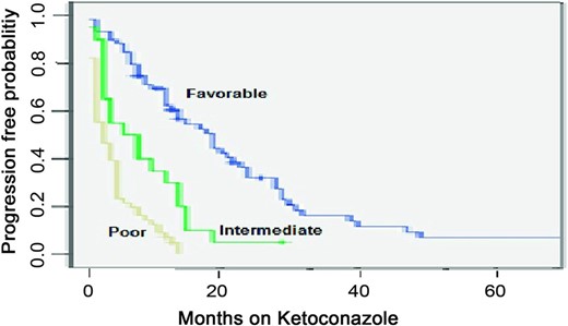 Progression-free survival probability stratified by risk group.