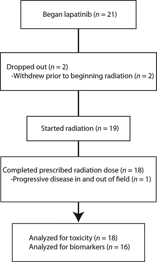 Consolidated Standards of Reporting Trials diagram.