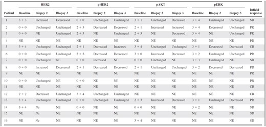 Immunohistochemistry score by patient for HER2, phospho-ERK, and phospho-AKT