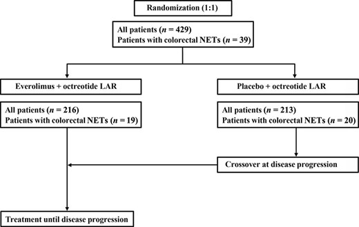 RADIANT‐2 study design for patients with colorectal neuroendocrine tumors.
