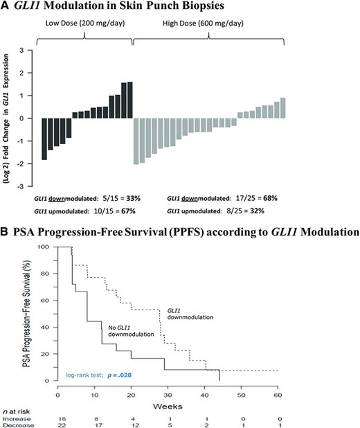 GLI1 modulation by itraconazole. (A): Waterfall plots showing GLI1 modulation in skin punch biopsies, depicted as fold change in GLI expression post‐treatment compared with baseline values. (B): Kaplan–Meier curves depicting PPFS according to GLI1 modulation status. (C): Kaplan–Meier curves depicting PFS according to GLI1 modulation status. (D): Scatterplot showing the association between GLI1 modulation and PSA change.