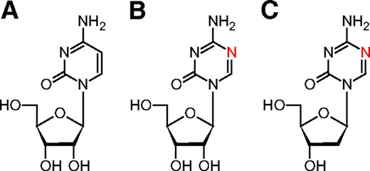 Chemical structures of cytidine (A), azacitidine (B), and decitabine (5‐aza‐2′‐deoxycytidine) (C).