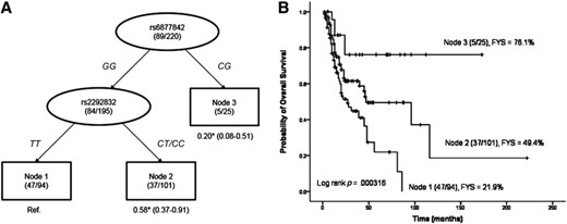 Survivability defined by high-order interactions between SNPs. (A): Survival tree analysis of survival of patients with T-cell lymphoma. (B): Overall survival according to different nodes identified by survival tree analysis. The number under each node represents the hazard ratio with 95% confidence interval in parenthesis. *, p < .05. Abbreviation: C, cytosine; FYS, 5-year overall survival rate; G, guanine; T, thymine.