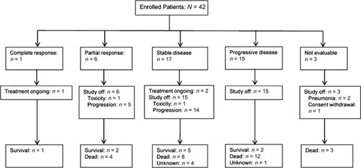 Treatment response to nilotinib.