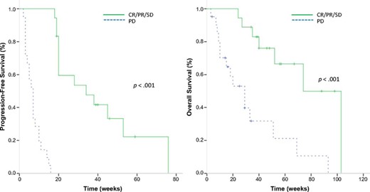 Kaplan-Meier curves of patients with KIT gene aberrations. (A): Progression-free survival (median: 34 vs. 7 weeks; p < .001). (B): Overall survival (median 74 vs. 29 weeks; p < .001).