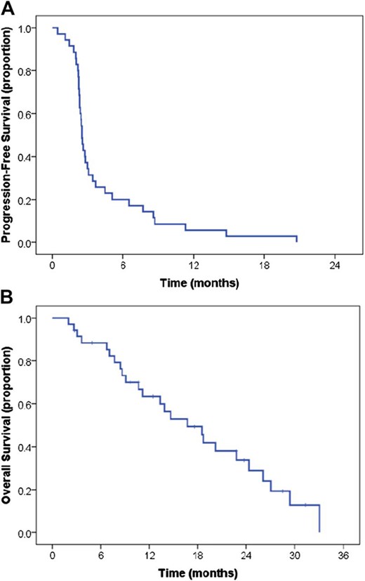 Progression-free survival (A) and overall survival (B) for study population.