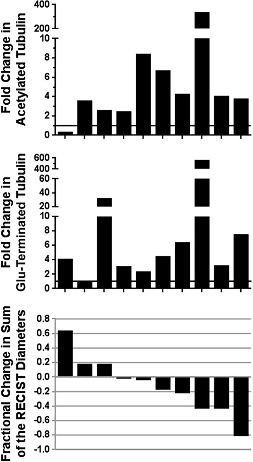 The top two panels show the fold change between the pre- and post-ixabepilone tumor biopsies in the levels of two α-tubulin modifications that occur when polymerization is induced by engagement of ixabepilone with its target. The bottom panel depicts a waterfall plot for these patients. There was no correlation between the fold change in the α-tubulin modifications and tumor response, suggesting that in addition to target engagement, other factors influence the tumor response to therapy.