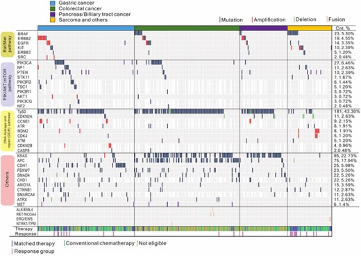 Mutations in key genes and pathways. Variants are shown in association with the RAF/MEK, PI3K/AKT/mTOR, and DNA damage and repair pathways, as well as others. The upper panel shows patients guided toward matched therapy (blue) or conventional chemotherapy (olive green) and their responses. The right panel indicates a frequency of the variants in each gene.