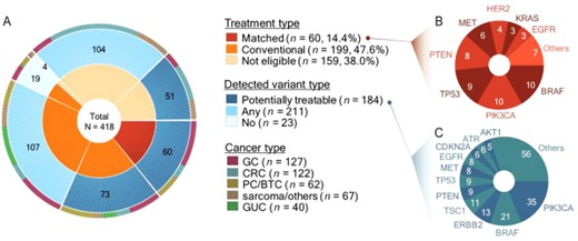 Therapy distribution for 418 patients and the recurrently mutated genes. (A): The inner circle represents the patients undergoing different therapies, and the outer circle shows mutation‐variant distributions: potentially treatable variants (blue), any variants (light blue), and no variants (grey) among the three groups. The right panel shows frequently detected genes representing (B) key genes in the matched‐therapy group and (C) genes with potentially treatable variants in all three groups. The number of patients is indicated in brackets.