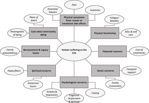Multidimensional causes of patient suffering at the EOL.