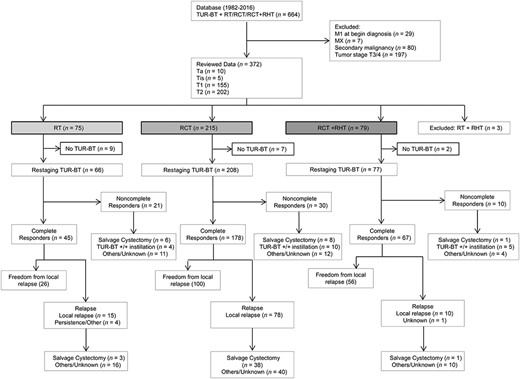 The flowchart of the trial according to the CONSORT statement.