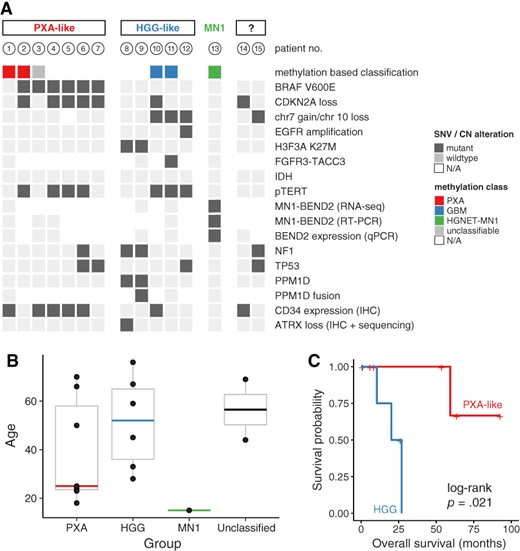 Summary of genetic alterations (A), age distribution (B), and overall survival (C) by subgroups.