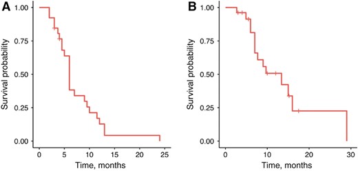 Median progression‐free survival was 6 months (A), and median overall survival was 13.4 months (B) across the 26 evaluable patients.