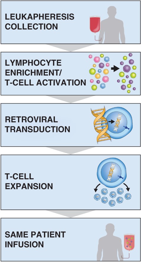 The manufacturing process for axicabtagene ciloleucel.