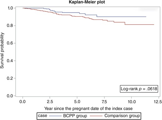 Survival curves for BCPPs and the comparison group.