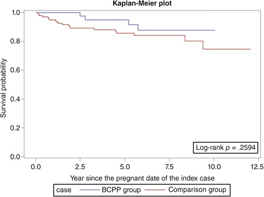 Survival curves for patients with estrogen receptor‐negative breast cancer who became pregnant after cancer diagnosis and the comparison group.
