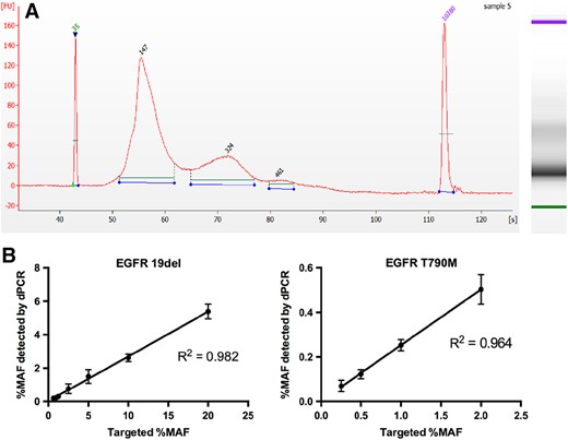 Preparation of the simulated ctDNA samples. (A): The validation results of our simulated ctDNA samples by using capillary electrophoresis. (B): The validation results of our simulated ctDNA samples by using digital PCR.