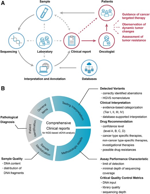 An overview of the critical elements next‐generation sequencing (NGS)‐based circulating tumor (ctDNA) analysis. (A): The importance of clinical reports in NGS‐based ctDNA analysis. (B): The critical elements for a comprehensive ctDNA analysis report.