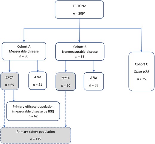 Analysis populations for regulatory review. Italicized font denotes mutation‐defined subgroups. Gray‐filled boxes denote primary safety population. *n = 209 represents the extended safety population.