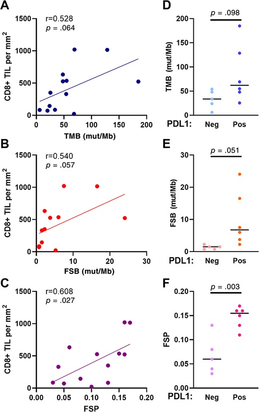 Correlation of genomic markers with CD8+ TIL density and PD‐L1 expression among a separate cohort of prostate cancers with MSH2 protein loss. Correlation of TMB (A), FSB (B), and FSP (C) to CD8+ TIL density. TMB (D), FSB (E), and FSP (F) among tumors with and without PD‐L1 expression determined by immunohistochemistry. Abbreviations: FSB, frameshift mutation burden; FSP, frameshift mutation proportion; mut/Mb, mutations per megabase; TIL, tumor‐infiltrating lymphocyte; TMB, tumor mutational burden.