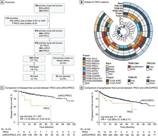 Identification of TRCC in TCGA cohort and its prognostic relevance. (A) Inclusion criteria for TCGA cohort to investigate racial disparity in TRCC. (B) Landscape of race, translocation/amplification, and clinical outcome of TRCC in TCGA cohort. (C) Disease-free survival curve of TRCC versus ccRCC/PRCC. (D) Progression-free survival curve of TRCC versus ccRCC/PRCC.