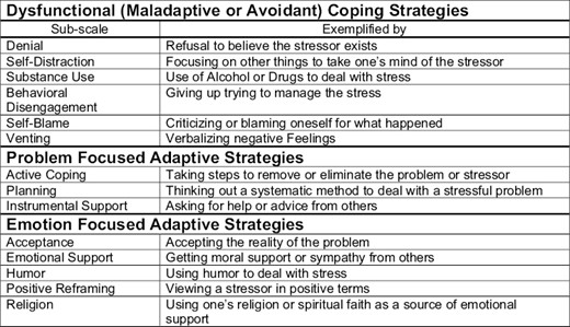 Sub-classifications of coping strategies as outlined by brief-cope questionnaire.