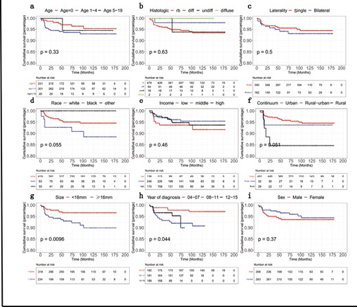 Schematic depiction of Kaplan-Meier overall survival curves related to the retinoblastoma patients stratified into different groups at the time of diagnosis: (A) age, (B) histologic type, (C) laterality, (D) race, (E) income, (F) residence (depending on Rural-Urban Continuum Codes), (G) tumor size, (H) year of diagnosis, (I) sex.