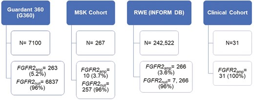 Outline of 4 different cohorts analyzed—Guardant 360 database, MSK cohort (cBioPortal), Guardant INFORM DB, and multi-institutional clinical cohort and number of FGFR2amp GECs per cohort.