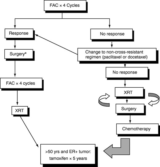 Multidisciplinary treatment of locally advanced breast cancer. *Lumpectomy followed by radiation or mastectomy, depending on response.