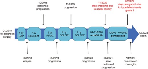 Timeline of a patient's cancer treatment and progression, including chemotherapy regimens and medication changes, alongside disease development and complications leading to death in December 2022.
