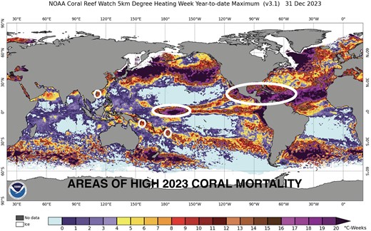 Areas of high bleaching and mortality in 2023.