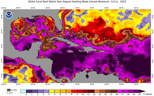 2023 Caribbean Maximum DHW map, the product of excess temperature and duration. The entire region was severely affected by coral reef bleaching, with the longest duration of excessively high temperatures around Jamaica, stretching to Nicaragua in the west and Haiti in the east. Figure from NOAA.