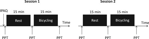 Illustration of the experimental procedure performed on both testing days. Pressure pain thresholds were assessed on two assessment sites (quadriceps and trapezius) before and immediately after rest and exercise. IPAQ = International Physical Activity Questionnaire; PPT = pressure pain threshold.