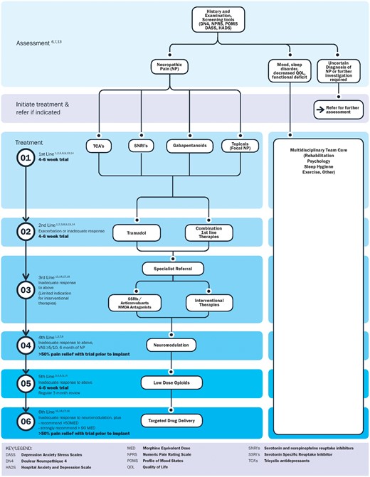 Comprehensive Algorithm for Management of Neuropathic Pain | Pain ...