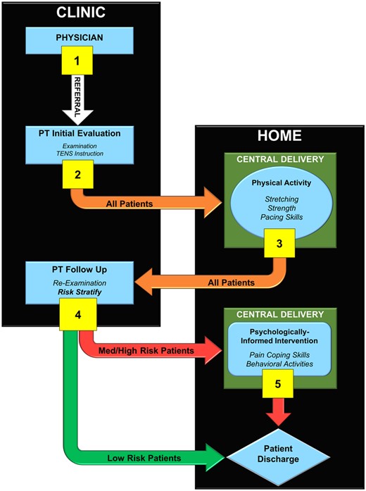 Overview of the integrated sequenced-care pathway for low back pain.