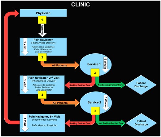 Coordinated pain navigator pathway for low back pain.
