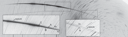 HAYABUSA re-entry as photographed from station GOS4. The exposure was 27min long, from 13:37:00 to 14:04:00 UT. The fireball flew from left to right and was interrupted be the rotating shutter 10times per second. The closest horizon lies upwards. The fragments mentioned in the text are identified in the insets.