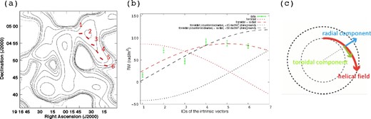 (a) Intrinsic magnetic field vectors (red lines) with total intensity radio contours at 3.0 GHz (black contours). The numbers show the IDs of the vectors which are adopted to the horizontal axis of (b). (b) Variation of the RMs along the structure of region B. The dotted lines represent various toroidal magnetic field models, with the clockwise and counter-clockwise directions being indicated by red and black, respectively. Models which only include a toroidal component are indicated by the dotted lines, whereas models that include both a toroidal and a radial magnetic field component are indicated by the dashed lines. The counter-clockwise models also include foreground RMs as indicated in the figure, whereas the clockwise models include zero foreground RM. (c) A cartoon illustration of the magnetic field model, when assuming a clockwise toroidal component and a radial component. (Color online)