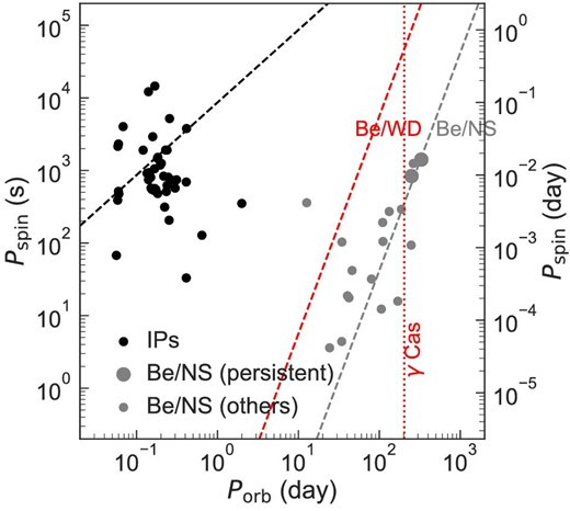 Relations between the orbital period (Porb) and the spin period (Pspin) for IPs (black; Mukai 2017) and Be/NS binaries (gray; Reig 2011). For the latter, a larger symbol size is used for the persistent (X Per-type) sources than for the others. The phenomenological linear relation is shown with dashed lines for each class. The relation for Be/WD binaries scaled from the one for the Be/NS binaries (Apparao 2002) is shown with the red dashed line. Porb is shown for γ Cas (Harmanec et al. 2000) with the red dotted vertical line. (Color online)