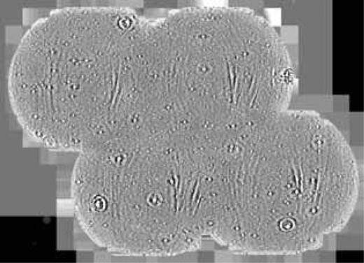 y-band coadd image of DEEP2-3 field. The level is stretched to enhance the background features. The image is approximately 4° by 3°.