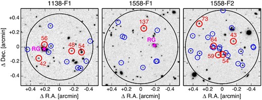 Two-dimensional spatial distributions of Hα emitters in protoclusters at $z$ ∼ 2 on Subaru/MOIRCS narrow-band images. The red and blue circles represent CO-detected and non-detected objects, respectively. The IDs of CO-detected galaxies are noted near the circles. Magenta stars indicate the positions of radio galaxies. The primary beam of the ALMA pointing is shown by large black circles. (Color online)