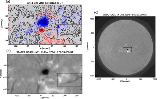 Active region NOAA 10930 on 2006 December 11. Color map in (a): LOS component of the magnetic field obtained by the Milne–Eddington fitting procedure from the Hinode SOT/SP observations. Red (blue) color indicates the positive (negative) polarity. The color plot is saturated at an absolute strength at 3 kG with dark blue (red) for negative (positive) field. Contours in (a) and gray-scale in (b): Brightness in the Hα band taken at the Big Bear Solar Observatory. The square insets in panels (a) and (b) indicate the filament studied in this paper. (c): The same data as (b) but in full observational field of view. The square line indicates the field of view of panels (a) and (b).