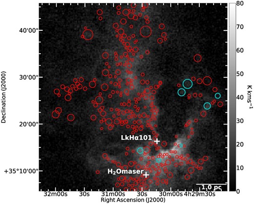 Integrated intensity map of the 13CO(J = 1–0) emission line towards the L 1482 molecular cloud. The circles indicate the locations and diameters of the identified cores.